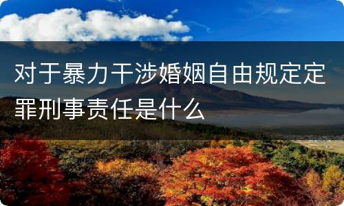 对于暴力干涉婚姻自由规定定罪刑事责任是什么