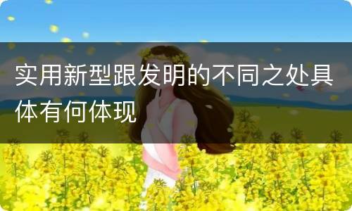 实用新型跟发明的不同之处具体有何体现