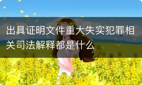 出具证明文件重大失实犯罪相关司法解释都是什么
