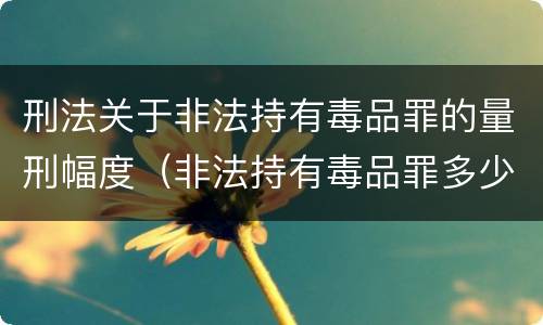 刑法关于非法持有毒品罪的量刑幅度（非法持有毒品罪多少克构成持有毒品罪）