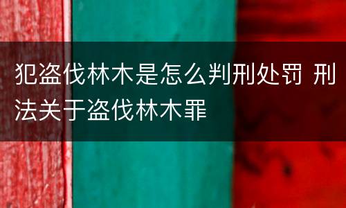 犯盗伐林木是怎么判刑处罚 刑法关于盗伐林木罪