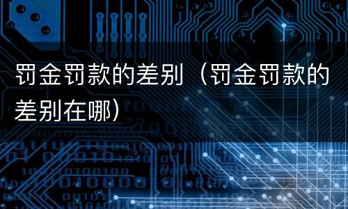 罚金罚款的差别（罚金罚款的差别在哪）