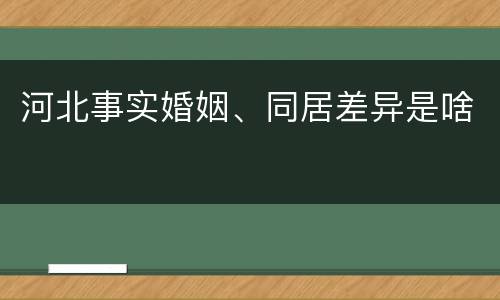 河北事实婚姻、同居差异是啥