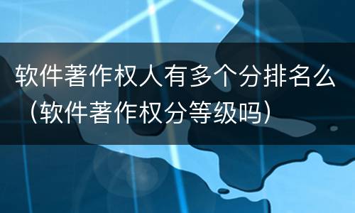 软件著作权人有多个分排名么（软件著作权分等级吗）