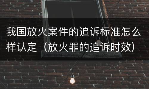我国放火案件的追诉标准怎么样认定（放火罪的追诉时效）