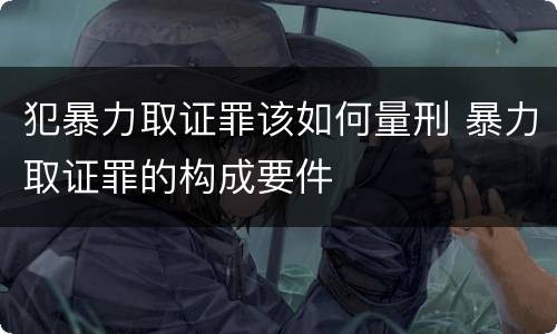 犯暴力取证罪该如何量刑 暴力取证罪的构成要件