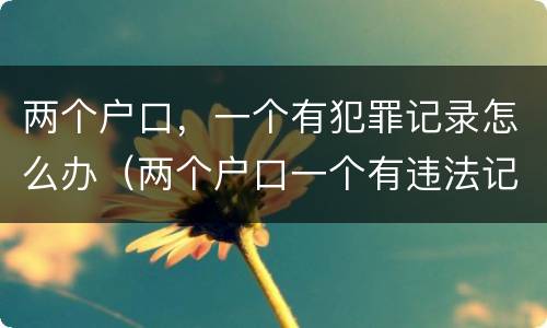 两个户口，一个有犯罪记录怎么办（两个户口一个有违法记录可以注销吗）