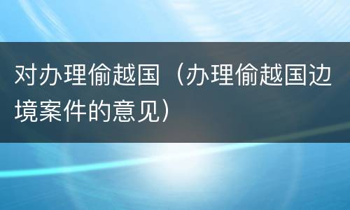 对办理偷越国（办理偷越国边境案件的意见）