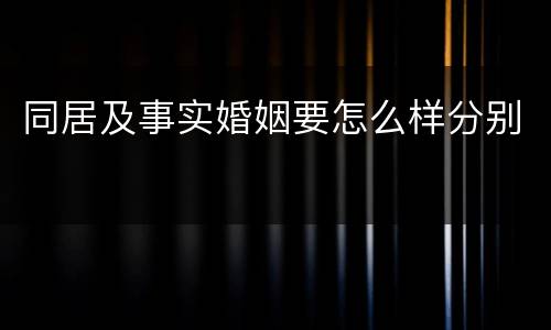 同居及事实婚姻要怎么样分别