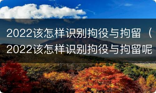 2022该怎样识别拘役与拘留（2022该怎样识别拘役与拘留呢）