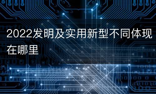 2022发明及实用新型不同体现在哪里