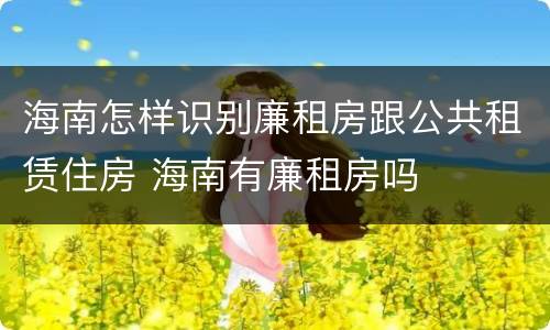 海南怎样识别廉租房跟公共租赁住房 海南有廉租房吗