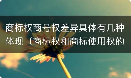 商标权商号权差异具体有几种体现（商标权和商标使用权的区别）