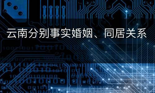云南分别事实婚姻、同居关系