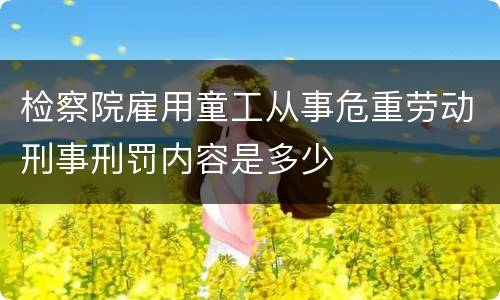 检察院雇用童工从事危重劳动刑事刑罚内容是多少