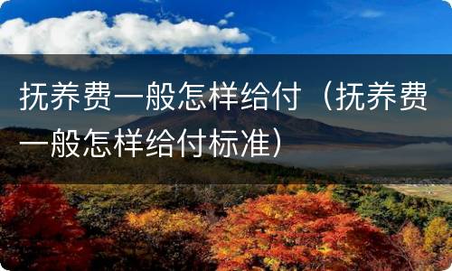抚养费一般怎样给付（抚养费一般怎样给付标准）