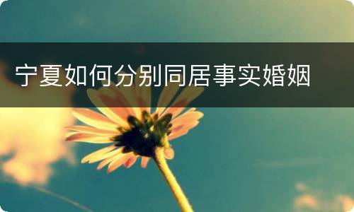 宁夏如何分别同居事实婚姻
