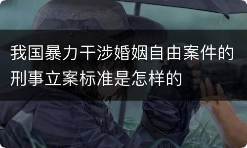 我国暴力干涉婚姻自由案件的刑事立案标准是怎样的