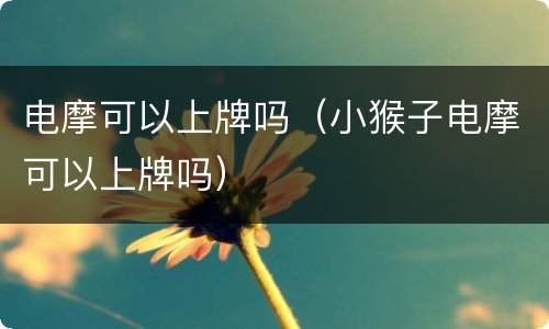 电摩可以上牌吗（小猴子电摩可以上牌吗）
