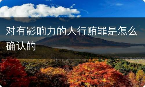 对有影响力的人行贿罪是怎么确认的