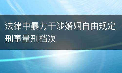 法律中暴力干涉婚姻自由规定刑事量刑档次