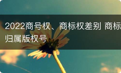 2022商号权、商标权差别 商标归属版权号