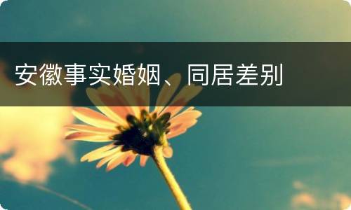 安徽事实婚姻、同居差别
