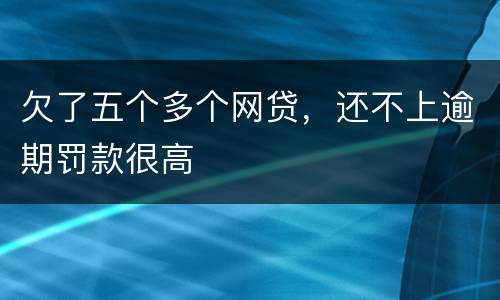 欠了五个多个网贷，还不上逾期罚款很高