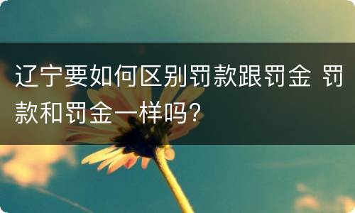 辽宁要如何区别罚款跟罚金 罚款和罚金一样吗?