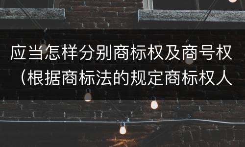 应当怎样分别商标权及商号权（根据商标法的规定商标权人对其注册商标的使用范围）