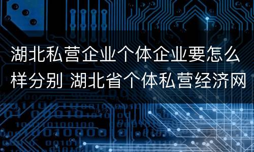 湖北私营企业个体企业要怎么样分别 湖北省个体私营经济网