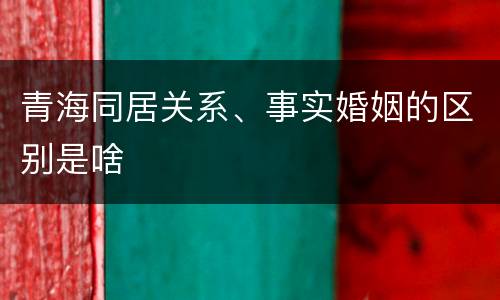 青海同居关系、事实婚姻的区别是啥
