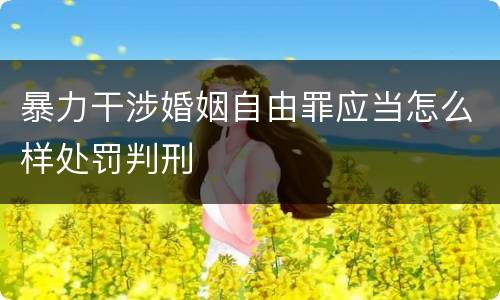 暴力干涉婚姻自由罪应当怎么样处罚判刑