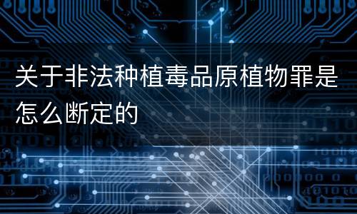 关于非法种植毒品原植物罪是怎么断定的