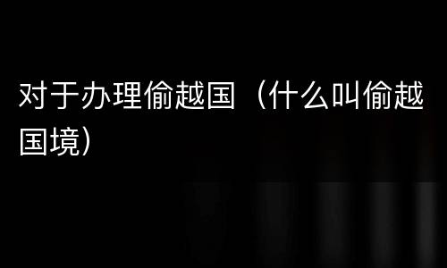 对于办理偷越国（什么叫偷越国境）