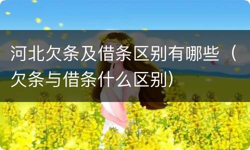 河北欠条及借条区别有哪些（欠条与借条什么区别）