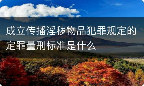 成立传播淫秽物品犯罪规定的定罪量刑标准是什么