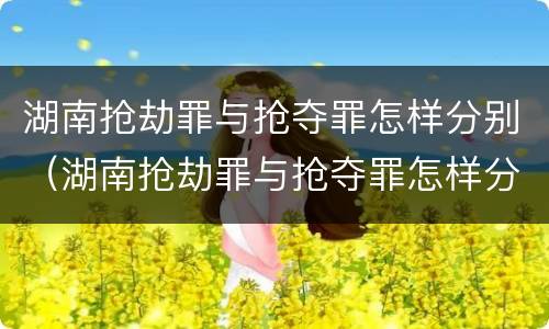 湖南抢劫罪与抢夺罪怎样分别（湖南抢劫罪与抢夺罪怎样分别判）