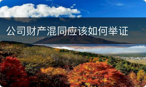 公司财产混同应该如何举证