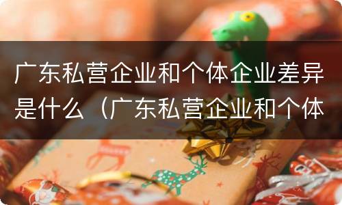 广东私营企业和个体企业差异是什么（广东私营企业和个体企业差异是什么样的）