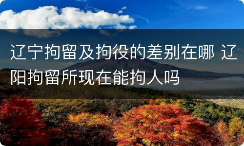 辽宁拘留及拘役的差别在哪 辽阳拘留所现在能拘人吗