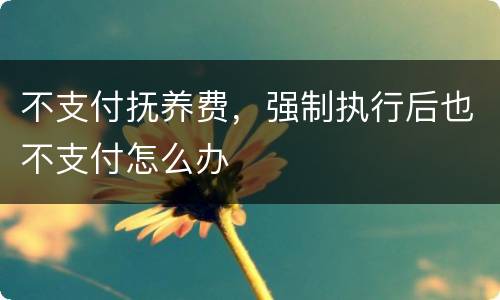 不支付抚养费，强制执行后也不支付怎么办