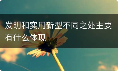 发明和实用新型不同之处主要有什么体现
