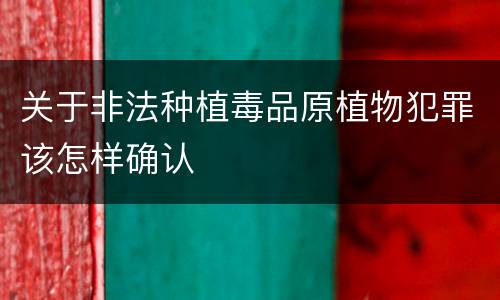 关于非法种植毒品原植物犯罪该怎样确认