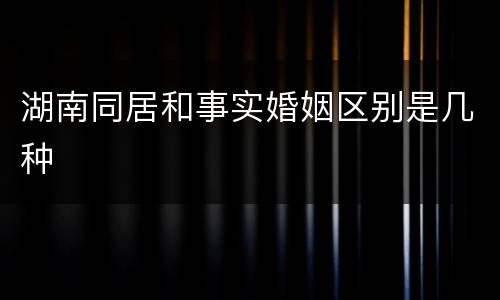 湖南同居和事实婚姻区别是几种