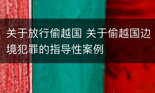 关于放行偷越国 关于偷越国边境犯罪的指导性案例
