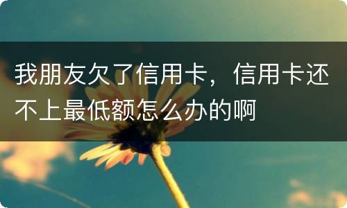 我朋友欠了信用卡，信用卡还不上最低额怎么办的啊