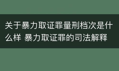 关于暴力取证罪量刑档次是什么样 暴力取证罪的司法解释