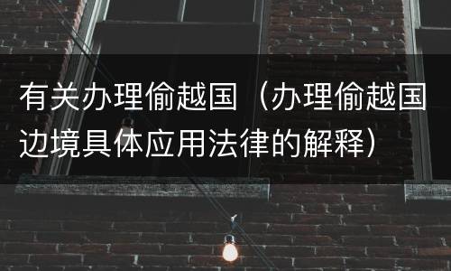 有关办理偷越国（办理偷越国边境具体应用法律的解释）