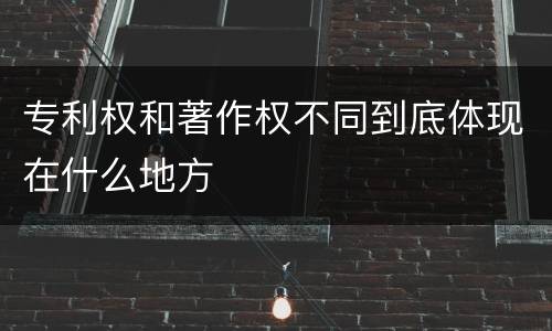 专利权和著作权不同到底体现在什么地方